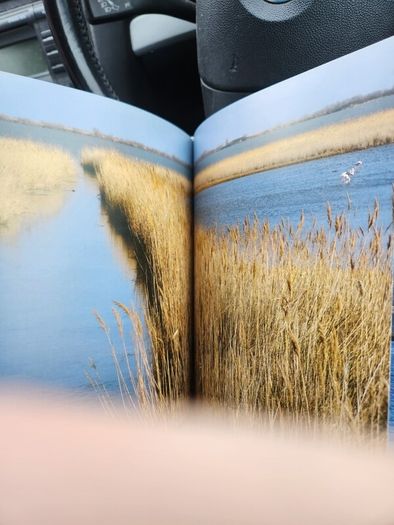 The Illustrated Olive Farm.by Carol Drinkwater. First Edition Hardback With Dustjacket In Good Condition. 38