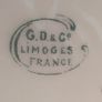 Antique G.D. & Co Limoges France Floral Porcelain Cup with Gilt Trim Image 4