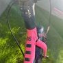 Trek bikes Image 10