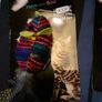cat Image 2