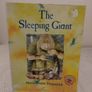 The Sleeping Giant Children,s Story Book Image 2
