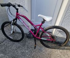 Bicycle in Very Good Condition