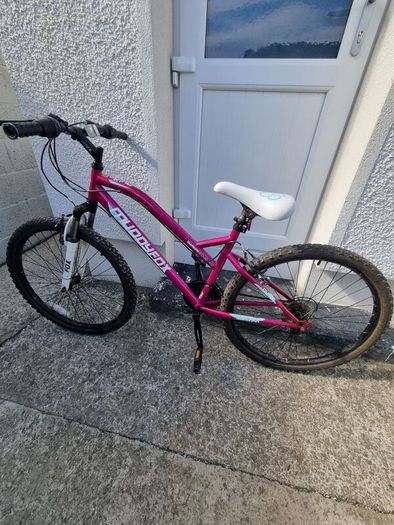 Bicycle in Very Good Condition
