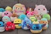 squish mellow large pack