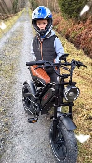 electric bike