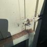 4 wooden panels Image 9