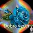 vibor12