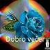vibor12