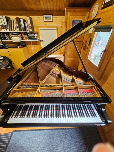 Grand Piano 178cm