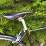 bike Image 4