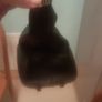 vw golf gear knob Image 3