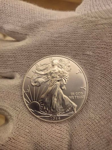 1 oz American Silver Eagle Bullion Coins