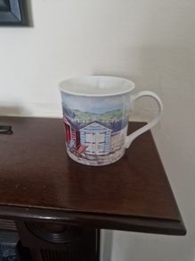 leonardo mug
