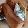 sofa Image 2