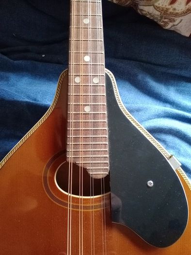 Palmer mandolin P3W  late 70s r early 80s and gigbag