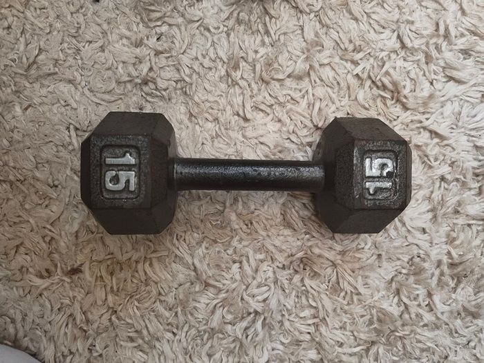 15lb cast iron hex dumbbell