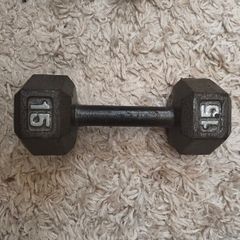 15lb cast iron hex dumbbell