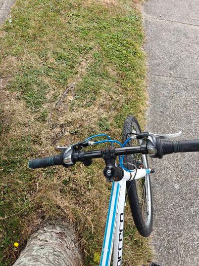 Carrera 26" bike