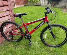 Ignite 18-Speed Mountain Bike