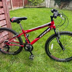 Ignite 18-Speed Mountain Bike