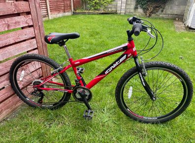 Ignite 18-Speed Mountain Bike