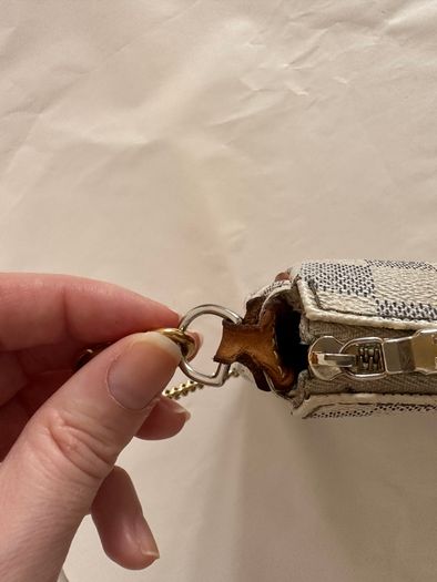 Louis Vuitton Eva bag