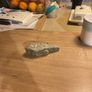 Rock shaped like a middle finger Image 5