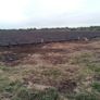 Turf Image 2