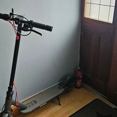 Electric bike