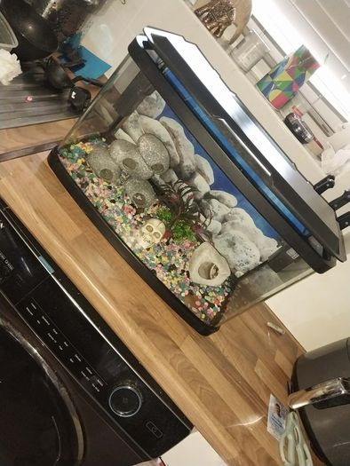 40 liter full glass aquarium with 2 filters and lots of extras