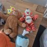 Collection of Teddys Image 3