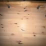 Dining table Image 7