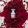 Indecent Cherry By Borntostandout Image 3