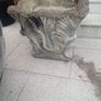 garden planter Image 4