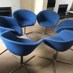 Arper Dina Dining chairs