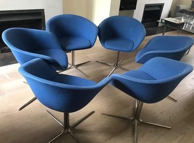 Arper Dina Dining chairs