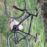Trek bike fx7.1 hybrid Image 3