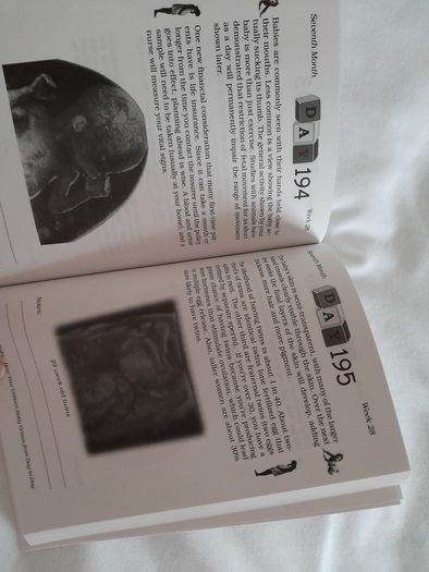 Baby development 'Becoming a Baby' by William F Supple