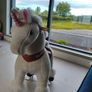 Ponycycle Image 5