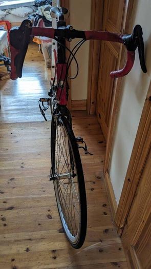 Da Vinci Road Bike