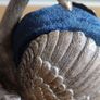 Silver Plated Swan Ornament Trinket Jewellery Matches Holder Image 2