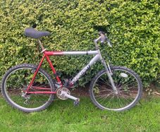 Free bike