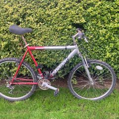 Free bike