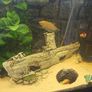 fish tank Image 3