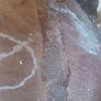 Bentwood chair. Image 8