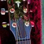 Taylor 818e USA made Grand Orchestra Image 4