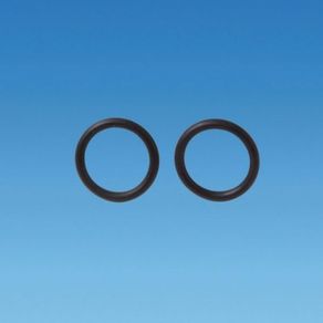 Water Master Carver "O" Rings Pack of 2