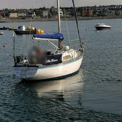 Hurley 30 for sale