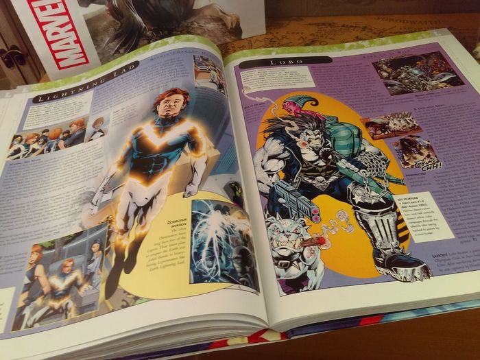 The DC Comics Encyclopedia ! The Definitive Guide To The Characters Of The DC Universe ! Beautiful Hardback !