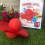 space hopper with box Image 2